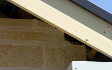 soffit repair Brackrevach