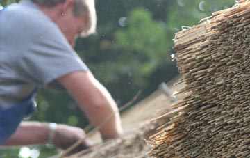 professional Brackrevach thatchers