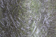 Brackrevach fibreglass roof work